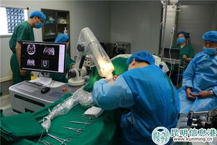 昆明軍海腦科醫(yī)院成功實(shí)施60余例機(jī)器人手術(shù)，為腦科疾病治療開(kāi)辟新天地